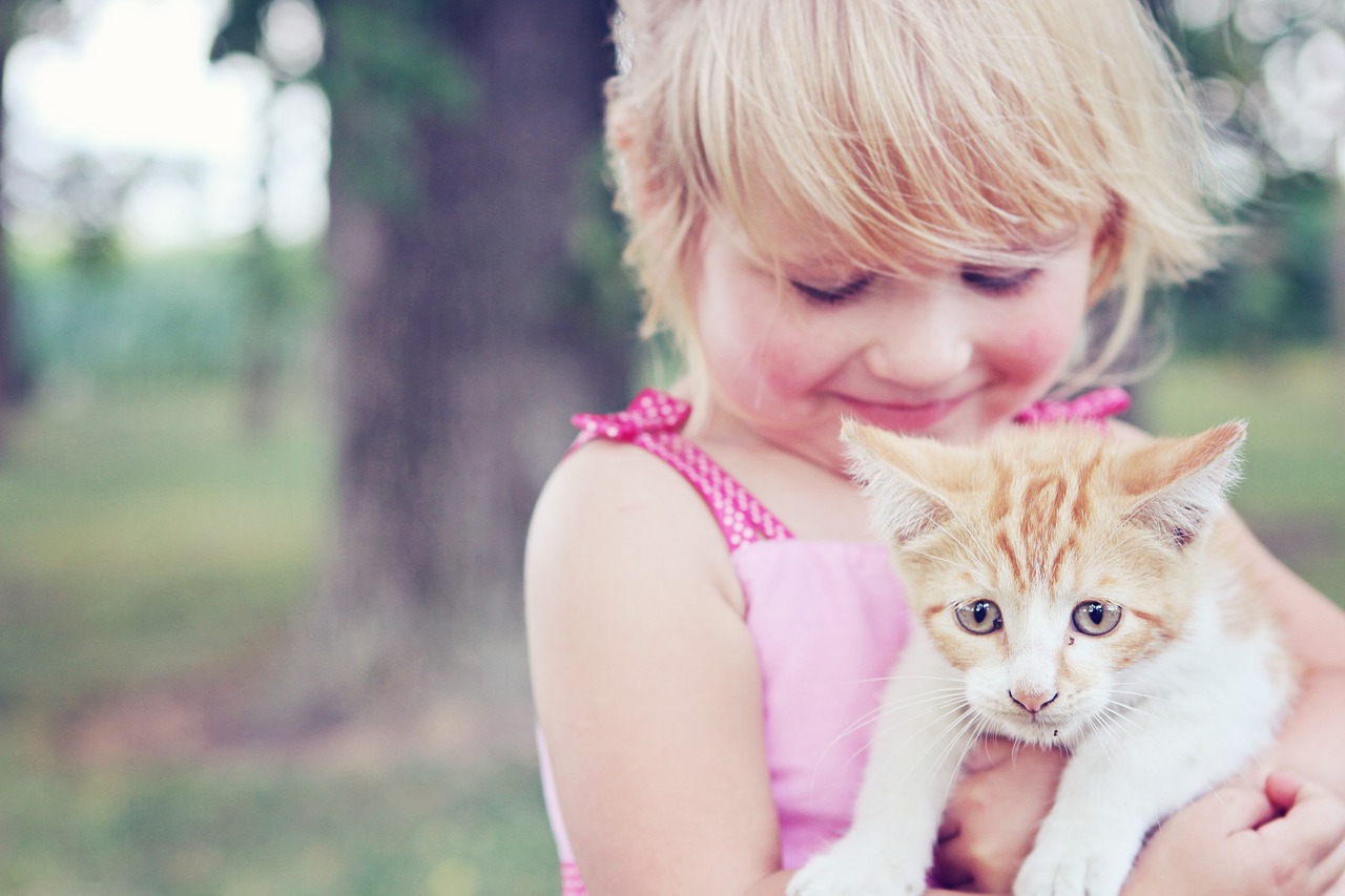 The Importance of Hydration for Older Pets